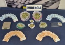 La PDI detiene a un hombre por microtráfico en la comuna de Fresia