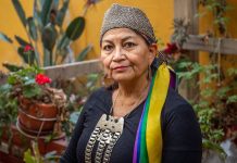 Diputados UDI mandaron carta a medio británico para cuestionar nominación de Loncon como mujer influyente