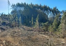 Hombre de 60 años fallece tras recibir un golpe de un tronco en la cabeza en San Juan de La Costa
