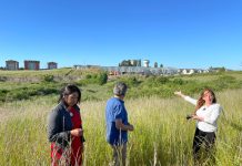 Denuncian daño ambiental hacia el humedal “Garza Grande” de Osorno