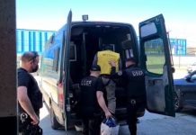 Mayor de Carabineros en retiro involucrado en el caso “Pacogate”, queda en prisión preventiva por cultivo de marihuana en Calbuco