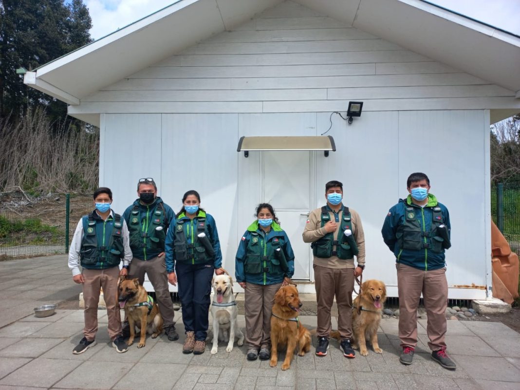 WhatsApp Image 2021-12-16 at 15.13.43