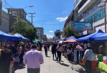 Iniciarán sumario sanitario a Municipalidad de Osorno por Boulevard de Ramírez