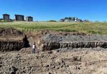 Presentan recurso de protección en contra de inmobiliaria para proteger humedal de Osorno