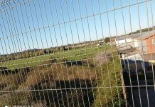 Posibles focos de incendios forestales colindantes a viviendas preocupan a vecinos de Francke