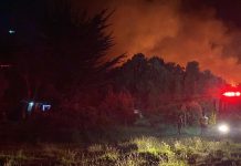 Declaran Alerta Roja para la comuna de Ancud por incendio forestal