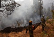 Gobierno vincula tres incendios forestales en La Araucanía con grupos armados