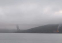 Al menos 15 cabañas fueron incendiadas en un camping de Contulmo