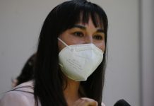 Izkia Siches y conflicto en La Araucanía: «Tenemos que dialogar con todos, incluso con la CAM»