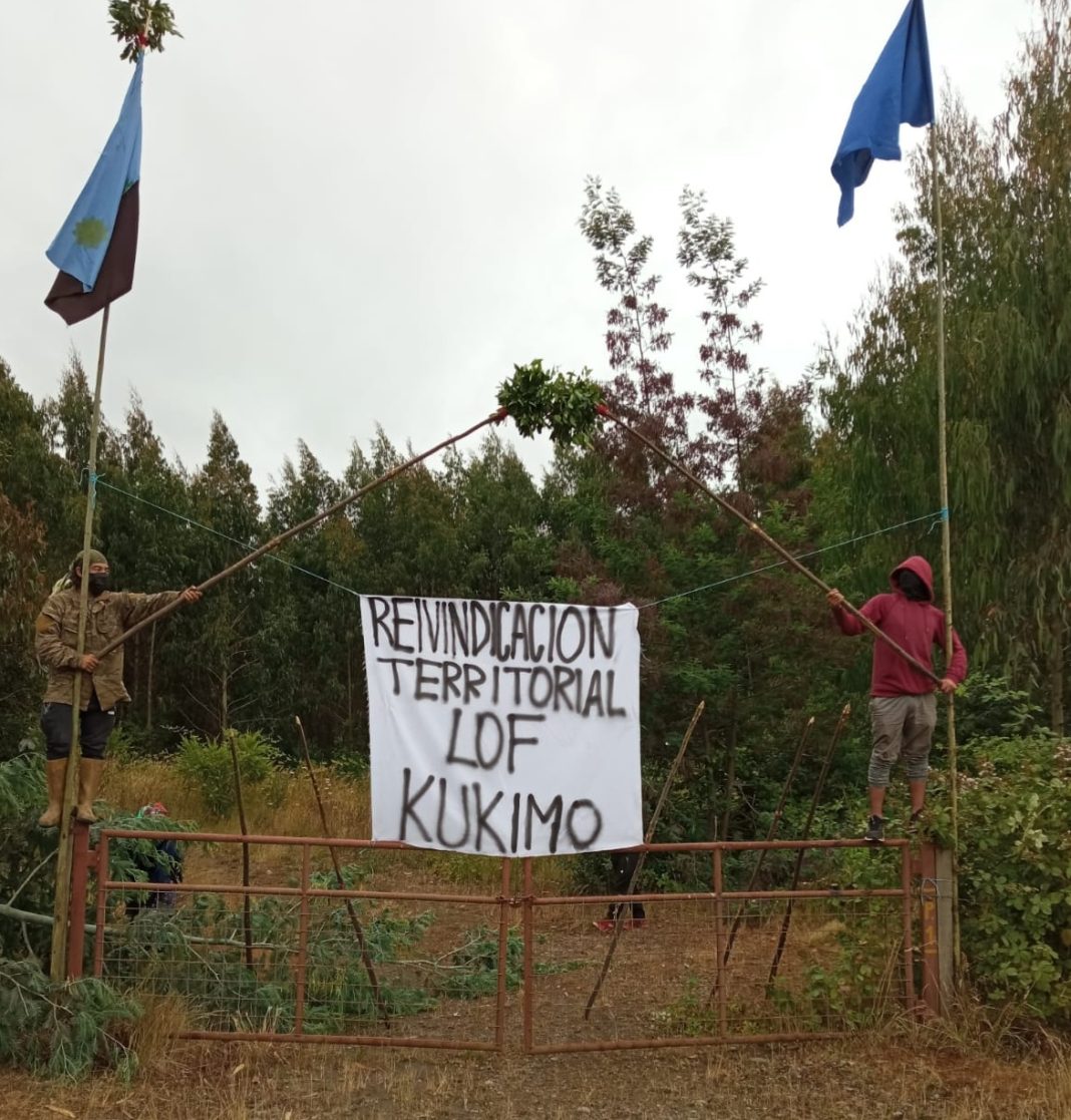 271051916_994733844464473_6282727410090309722_n