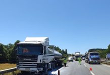 Una persona perdió la vida tras accidente de tránsito en la ruta 5 sur