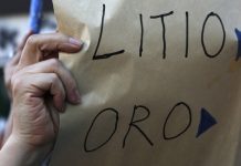 Corte de Apelaciones de Copiapó ordena suspender licitación del litio tras acoger recurso de protección