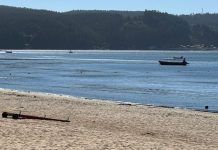 SHOA cancela totalmente los estados de amenaza de tsunami para el borde costero del país