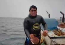 «No habrá crisis en la zona si salmoneras salen de áreas protegidas»