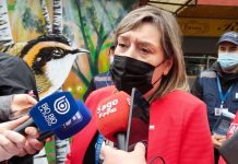 Seremi asegura que se fiscalizará masivo Festival de la Leche y la Carne: Asistirán tres mil personas por noche