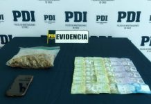 PDI incauta encomienda con cannabis en Llanquihue