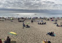 Autoridades llamaron a no bañarse en las playas del litoral de la provincia de Osorno