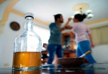 Ilícitos referentes al alcohol y violencia intrafamiliar están sobre la media nacional en la región de Los Lagos