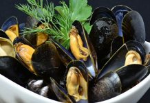 Corfo Los Lagos lanza campaña para potenciar el consumo del chorito o del mejillón chileno