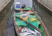 Incautan bote e implementos de pescadores furtivos que se dieron a la fuga en Lago Rupanco