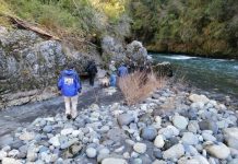 Encuentran osamentas que corresponderían a hombre desaparecido hace siete meses en Futrono