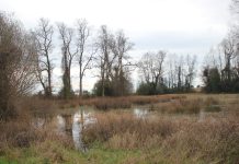 Diario Oficial publica declaratoria de Humedal Las Quemas como Humedal Urbano