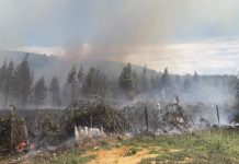 Más de 200 hectáreas quemadas lleva incendio forestal que afecta a tres sectores de Paillaco