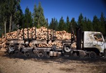 Gobierno presenta querella por atentado incendiario en San Juan de la Costa