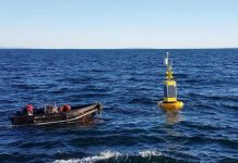 «El agua dulce es clave para el equilibrio ecológico del Seno del Reloncaví»