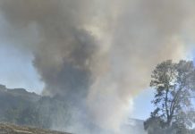 Declaran alerta roja para la comuna de Paillaco por incendio forestal