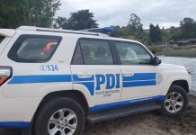 Hombre murió aplastado por un árbol que talaba en la comuna de Maullín