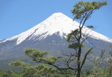 SERNATUR: Con turismo rural en SAGOFISUR 2023