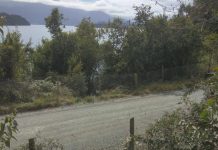 Privado cerró acceso a playa en Islote Rupanco en la comuna de Puerto Octay