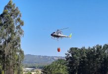 Contenido, pero con riesgo para quince viviendas permanece el Incendio Forestal de Pucoihue