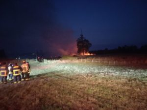Osorno: Declaran alerta amarilla para la comuna por incendio forestal