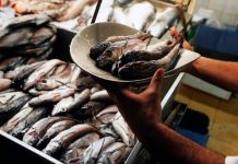 Consumo de pescado en Chile aumentó en medio de la pandemia del covid-19