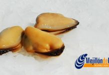 Corfo Los Lagos y su gran apuesta por la mitilicultura y el Mejillón Chileno