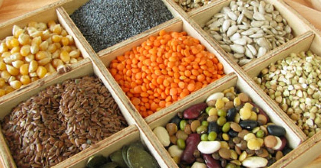 venta_semillas_siembra_cdmx