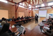 Docentes ULagos capacitan a Cores en Descentralización y Regionalización