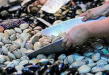 Llaman a comprar mariscos sólo en lugares establecidos