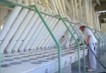 Molineros del Sur aseguran abastecimiento de harina y confirman sobredemanda en el país