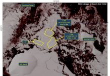 Científica de la NASA alerta que una plataforma de hielo gigante colapsó en la Antártica