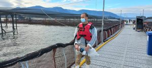 CIBA implementa tecnología para identificar microbiomas en salmónidos con secuenciación genómica