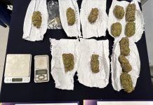 PDI detiene a sujeto que comercializaba cannabis por redes sociales en Osorno