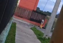 Dictan prisión preventiva para acusado de agredir a su conviviente en plena vía pública