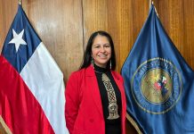 Delegada Pailalef apuntó a la necesidad de descentralizar el abordaje a la seguridad pública