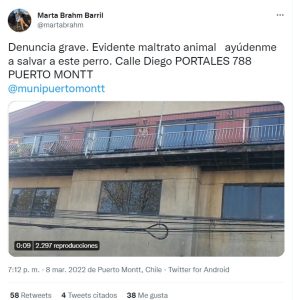 Denuncian maltrato animal en Puerto Montt
