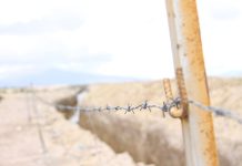 Jedena de la Provincia del Tamarugal anuncia construcción de nueva zanja en Colchane: Trabajos iniciarán el lunes