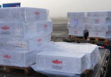 Consejo del Salmón: «Por conflicto de Rusia-Ucrania se están redireccionando los embarques»