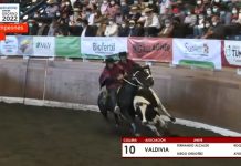 Con 40 puntos collera de Valdivia ganó el clasificatorio Zona Sur de Osorno